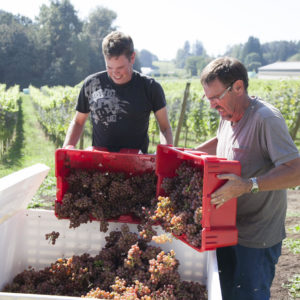 Garnet Andres Harvest